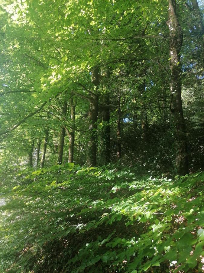 Apartmán Moulin De Brezal Et Etang A 20 Minute De La Mer Plounéventer Exteriér fotografie